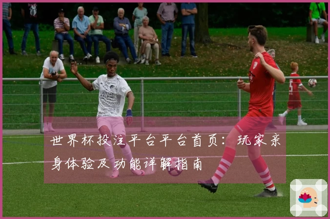 世界杯投注平台平台首页：玩家亲身体验及功能详解指南
