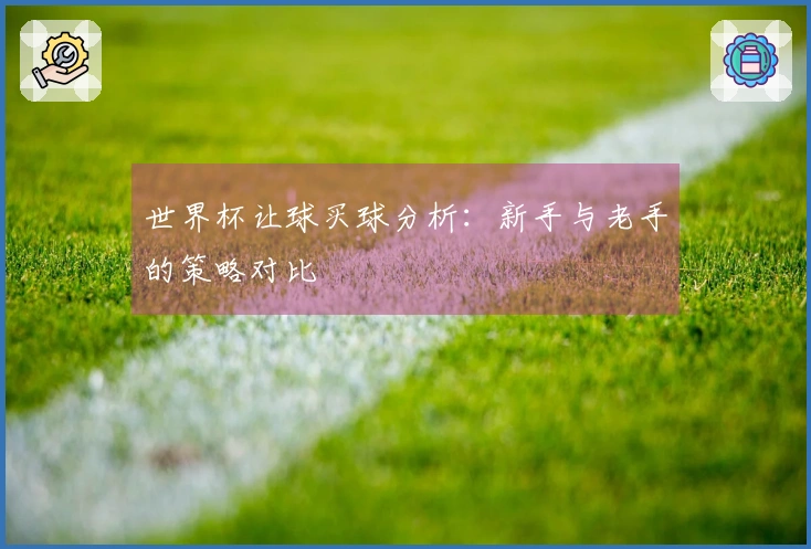 世界杯让球买球分析：新手与老手的策略对比