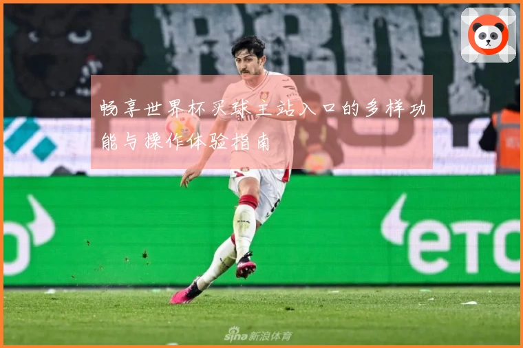 畅享世界杯买球主站入口的多样功能与操作体验指南