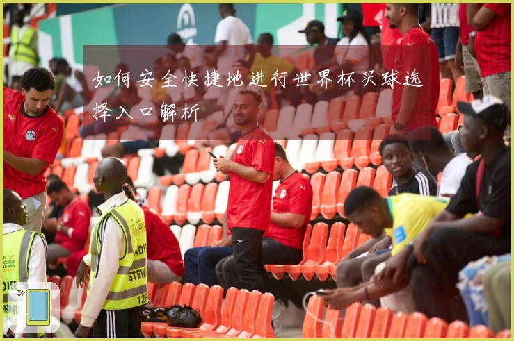 如何安全快捷地进行世界杯买球选择入口解析