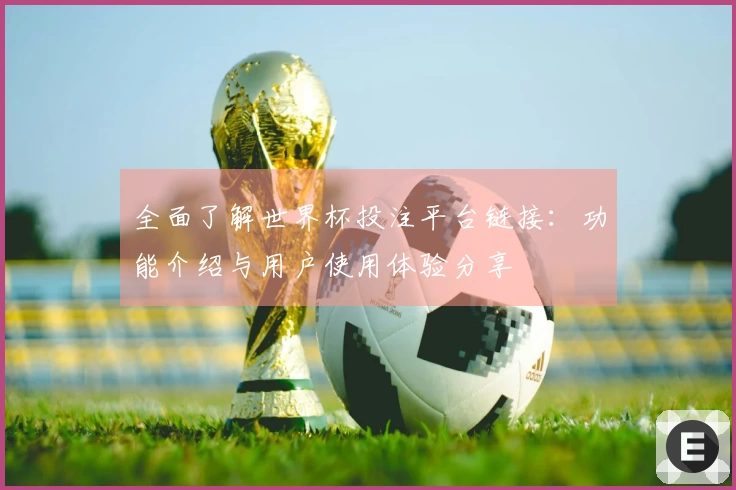 全面了解世界杯投注平台链接：功能介绍与用户使用体验分享