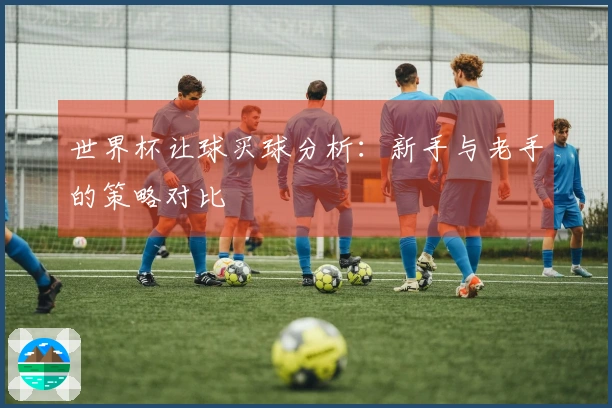 世界杯让球买球分析：新手与老手的策略对比