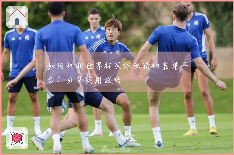 如何判断世界杯买球竞猜的靠谱平台？分享实用技巧