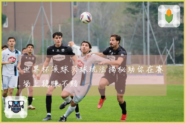 世界杯滚球买球玩法揭秘助你在赛场上稳赚不赔